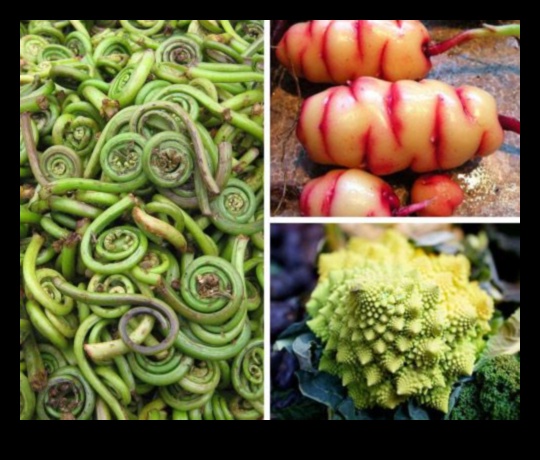 صياغة الطهي باستخدام الخضروات الغريبة: استكشاف المنتجات الفريدة