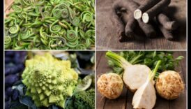 صياغة الطهي باستخدام الخضروات الغريبة: استكشاف المنتجات الفريدة