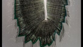 الألياف المستقبلية: فن النسيج والتقدم التكنولوجي