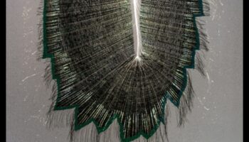 الألياف المستقبلية: فن النسيج والتقدم التكنولوجي