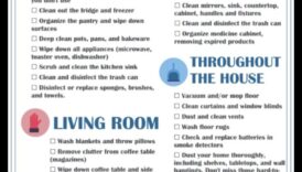 روائح تنظيف الربيع DIY: صياغة الروائح لمنزل جديد