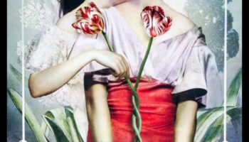 لحظات صوفية: رحلة عبر التأمل التاريخي