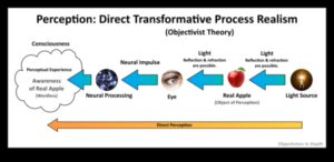 الصدق البصري: تأثير الواقعية على إدراك المشاهد