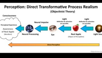 الصدق البصري: تأثير الواقعية على إدراك المشاهد