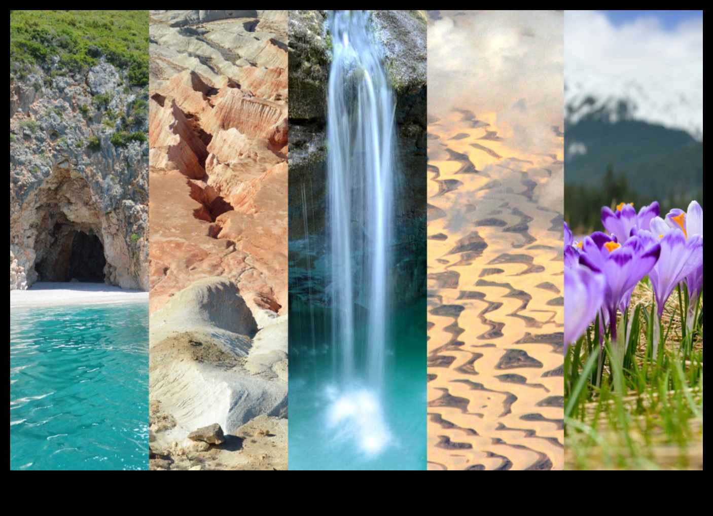 عجائب البرية: دليل لجواهر الطبيعة المخفية