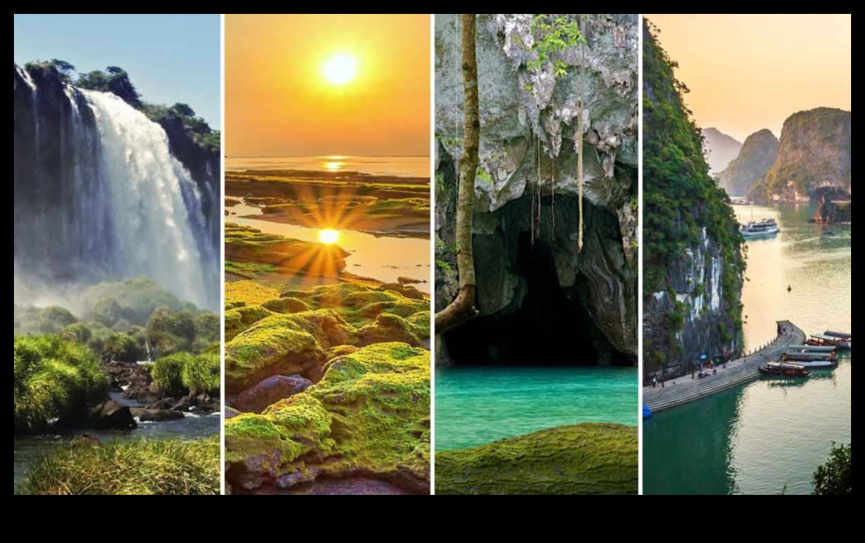 عجائب البرية: دليل لجواهر الطبيعة المخفية