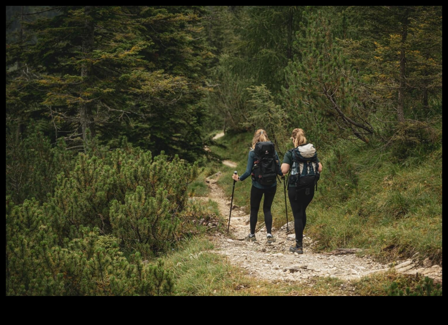 وجهات نظر الذروة: دليل لآفاق مهيبة في الهواء الطلق