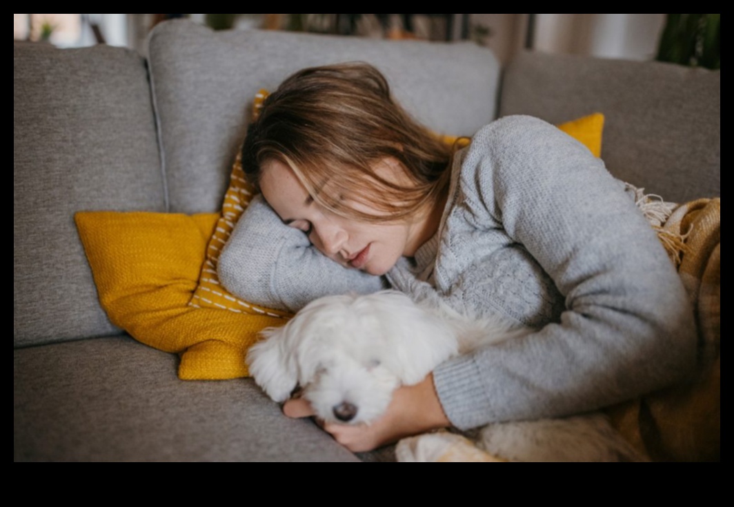 رحيق وقت القيلولة: صياغة النوم المثالي بعد الظهر