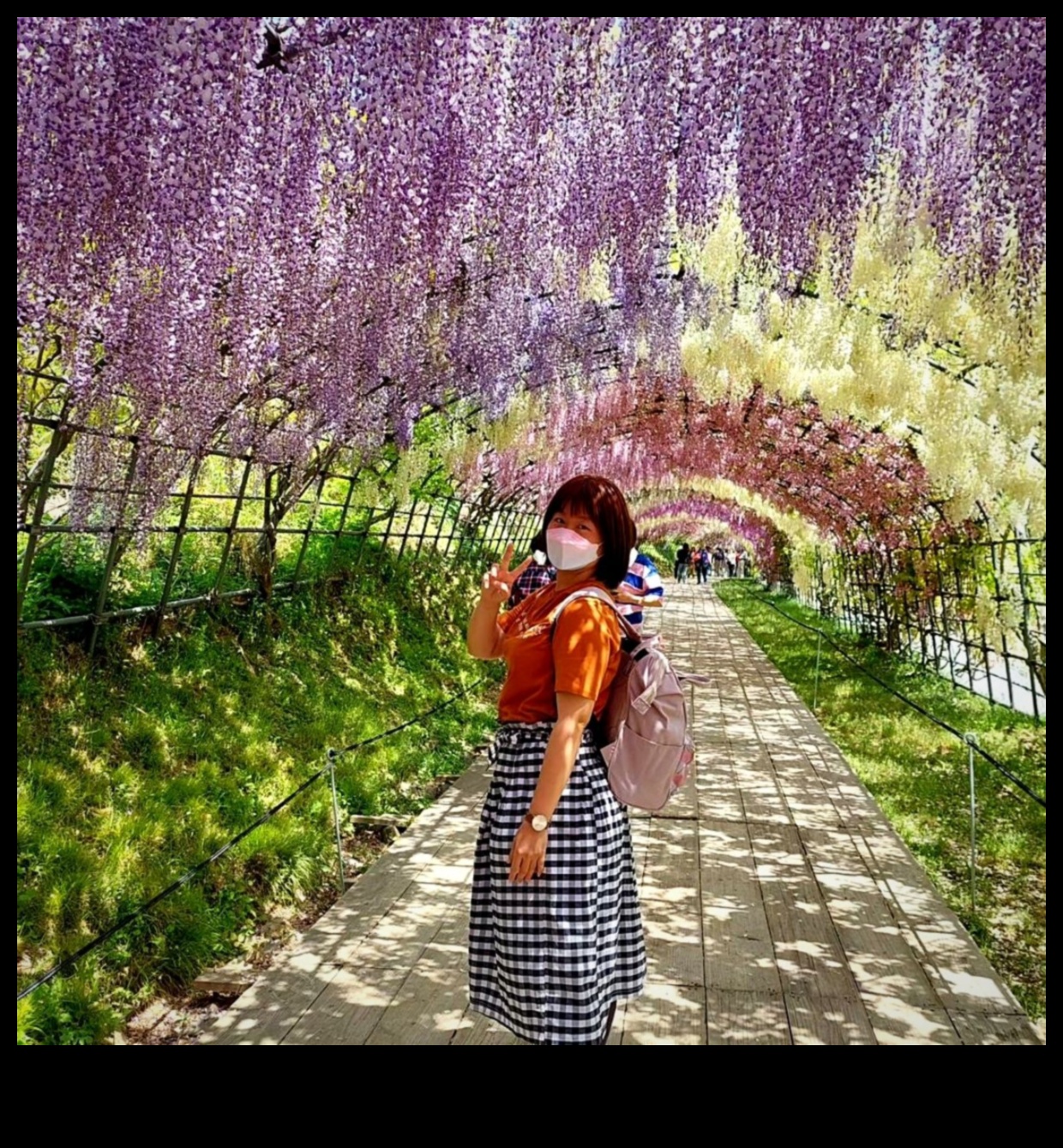 تعريشة المسافر: تنمية حديقة المعرفة الخاصة بك