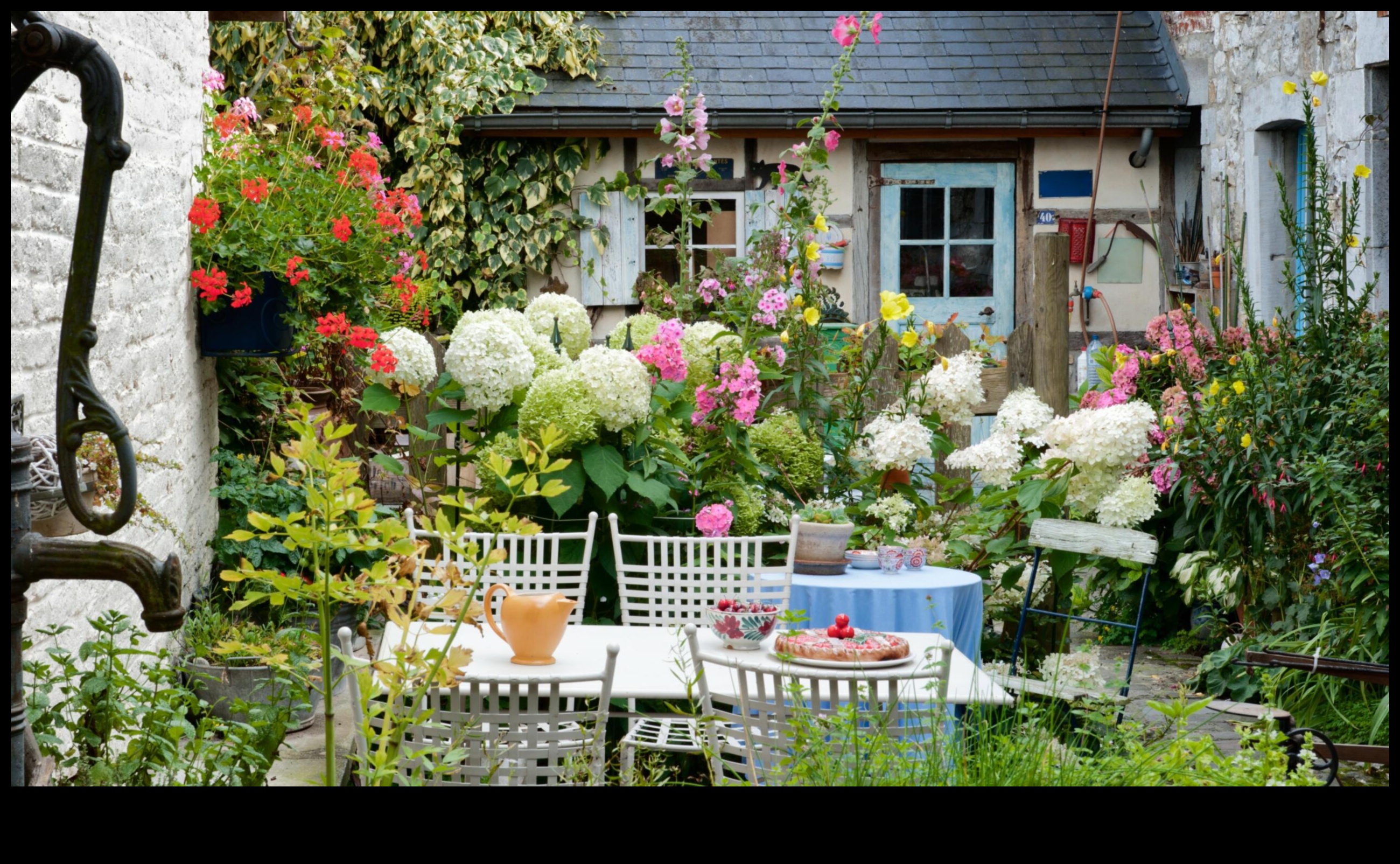 تعريشة المسافر: تنمية حديقة المعرفة الخاصة بك