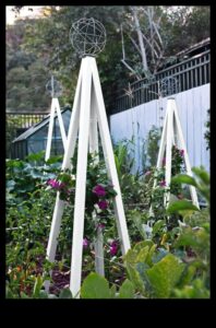 تعريشة المسافر: تنمية حديقة المعرفة الخاصة بك