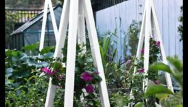 تعريشة المسافر: تنمية حديقة المعرفة الخاصة بك