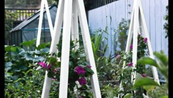 تعريشة المسافر: تنمية حديقة المعرفة الخاصة بك