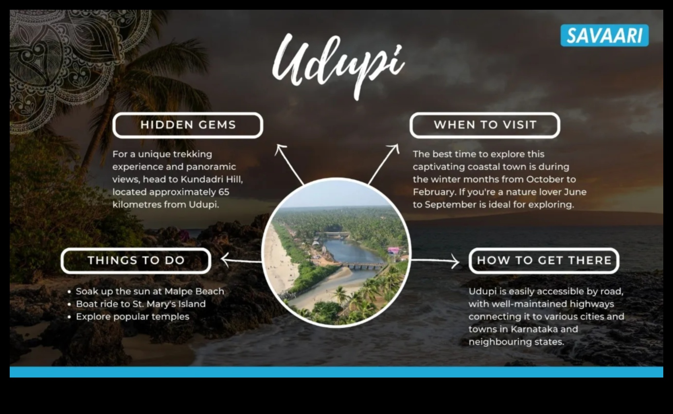 آفاق مسقط الرأس: رحلة عبر كنوز محلية فريدة من نوعها