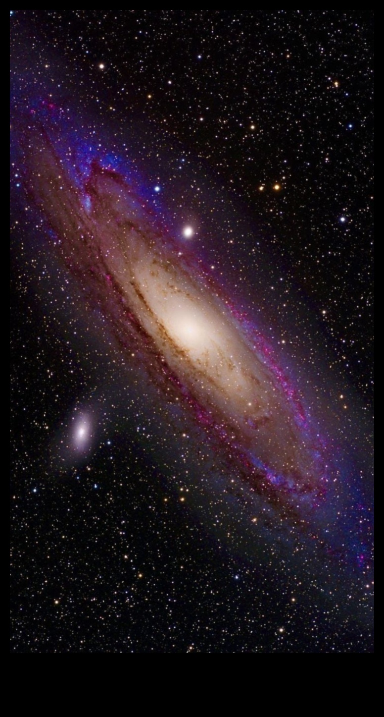 سجلات المجرة: حكايات من الامتداد الشاسع لدرب التبانة