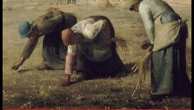 عادي غير عادي: العثور على الجمال في الواقعية