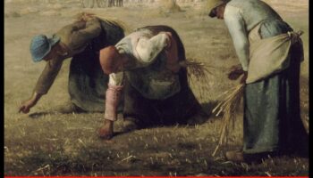 عادي غير عادي: العثور على الجمال في الواقعية