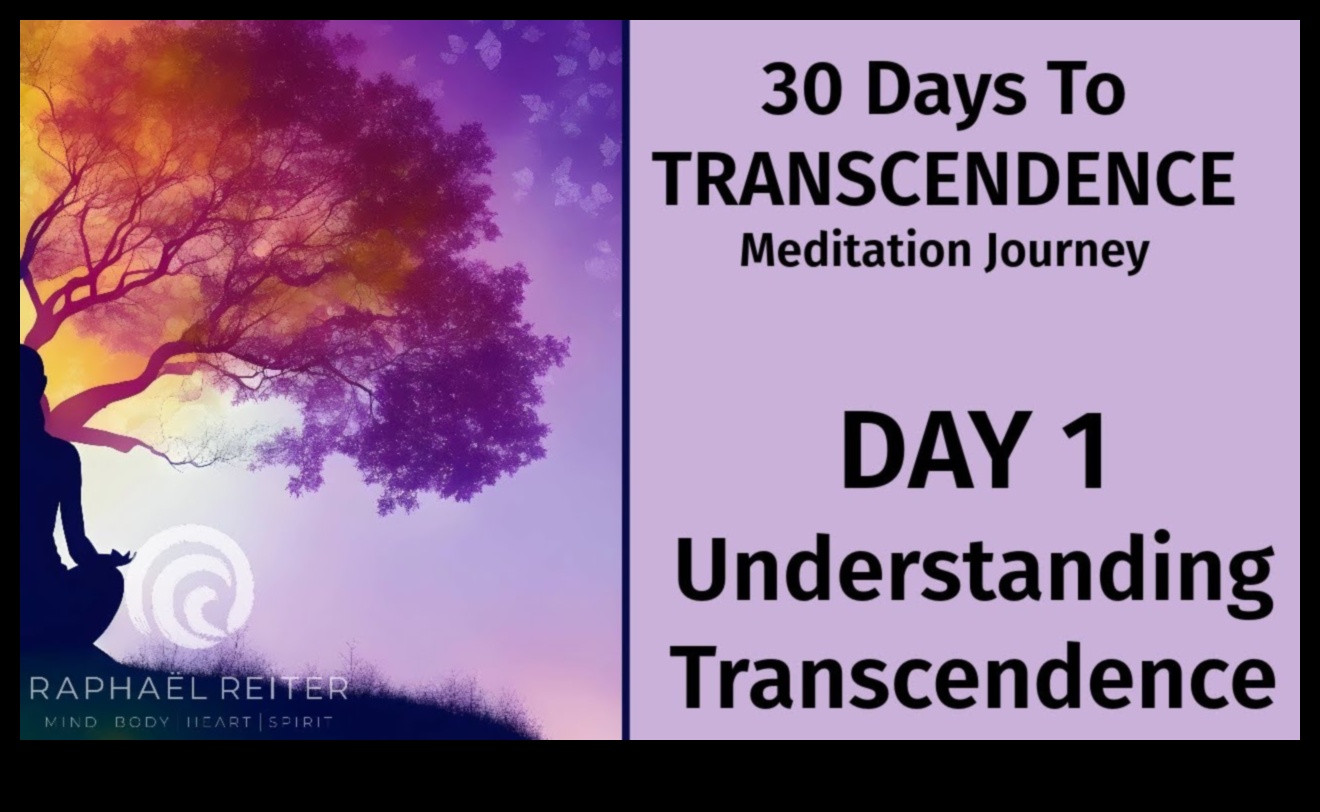 التفوق الواعي: رحلة اليقظة الذهنية