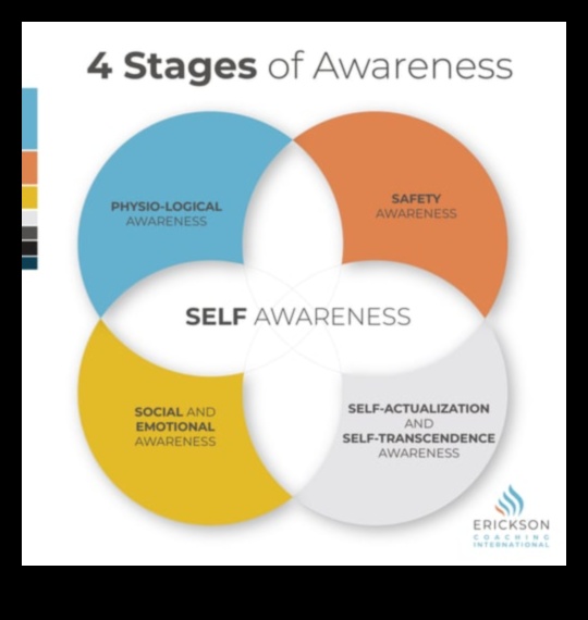التفوق الواعي: رحلة اليقظة الذهنية