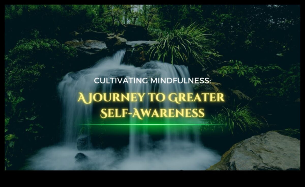 التفوق الواعي: رحلة اليقظة الذهنية