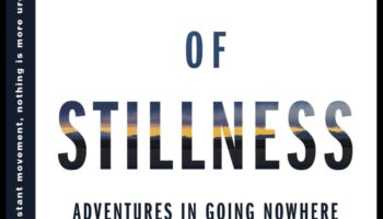 فن السكون: إزالة الغموض عن قوة التأمل