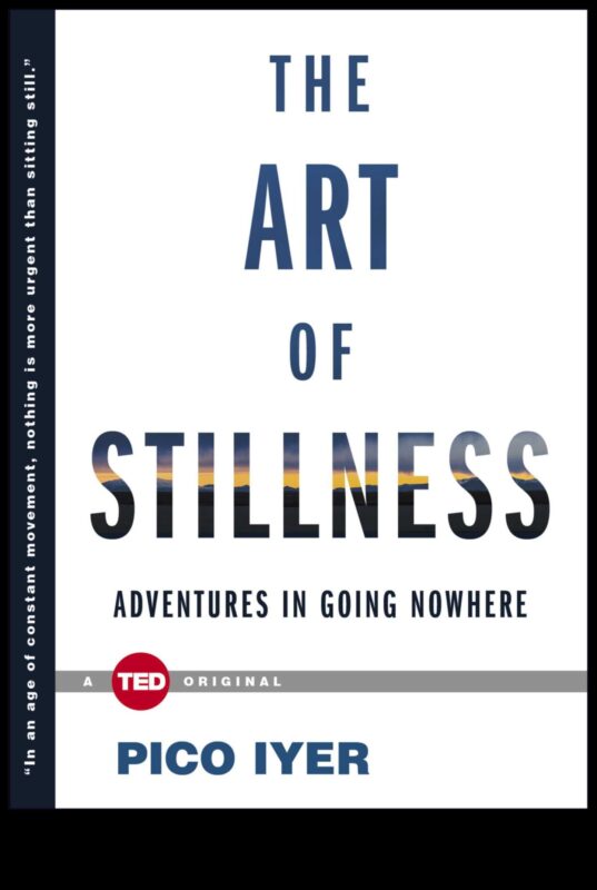 فن السكون: إزالة الغموض عن قوة التأمل