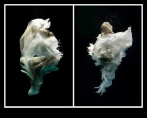 التصوير الفوتوغرافي تحت الماء DIY: التقاط العالم تحت الماء