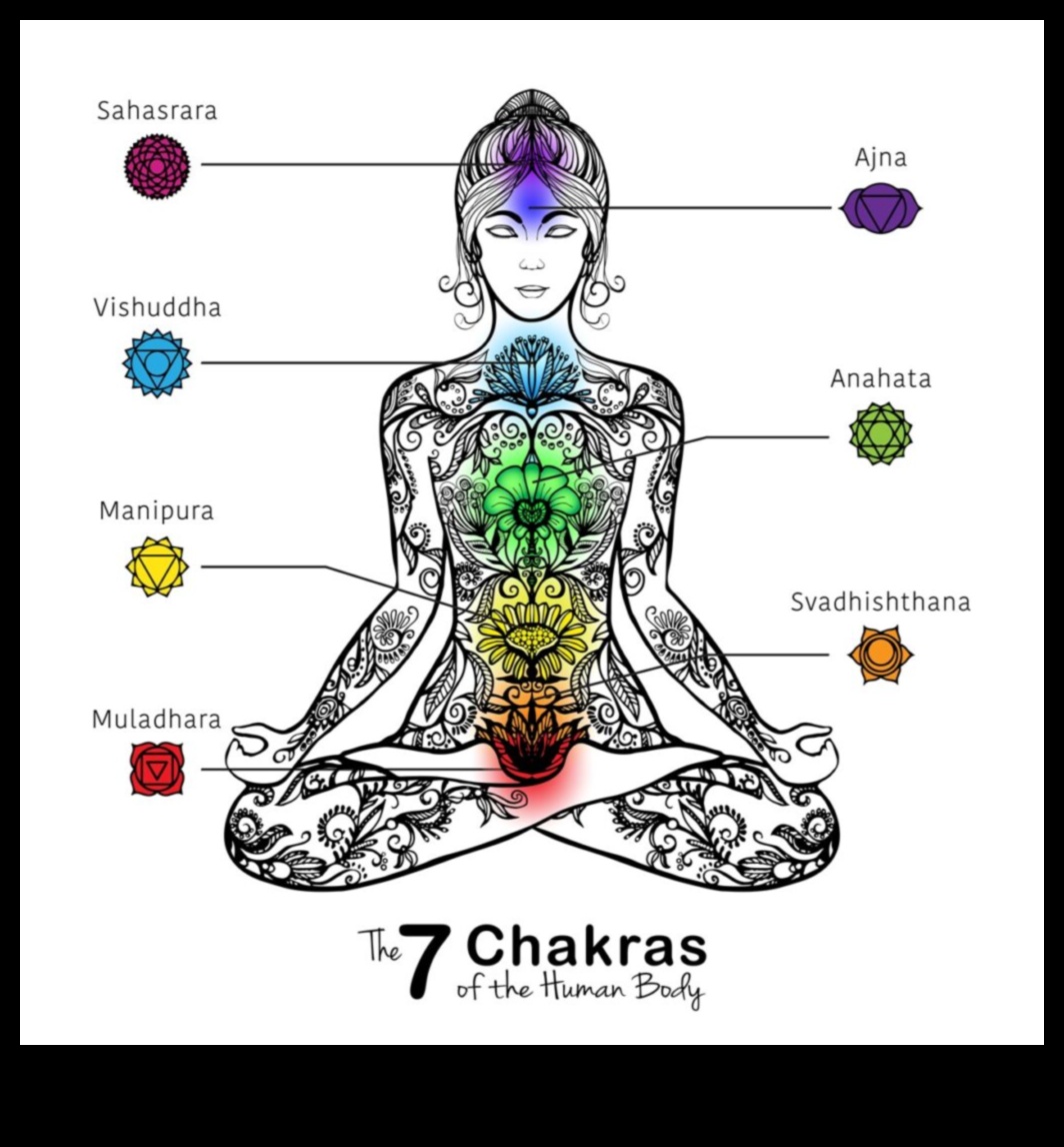 توازن نابض بالحياة: استكشاف فن التأمل شقرا