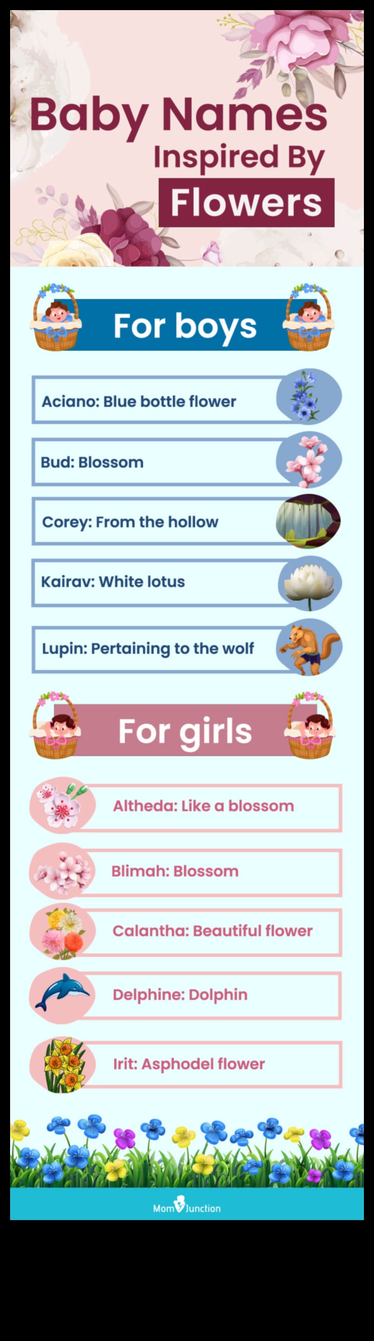 زهر الباليه: أسماء الطفل زهرة رشيقة وحساسة